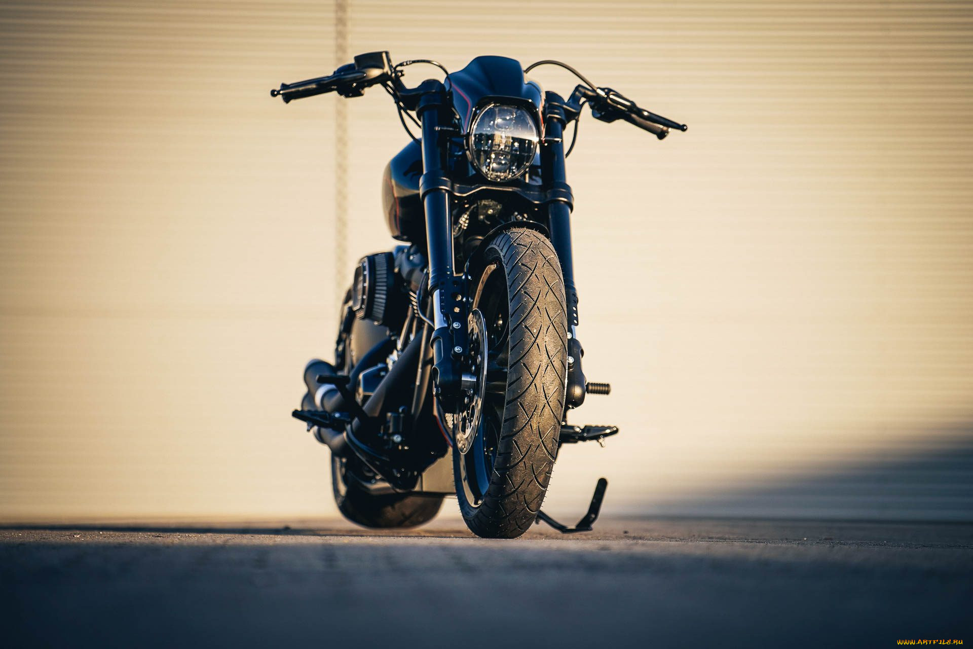 , , harley-davidson, , 